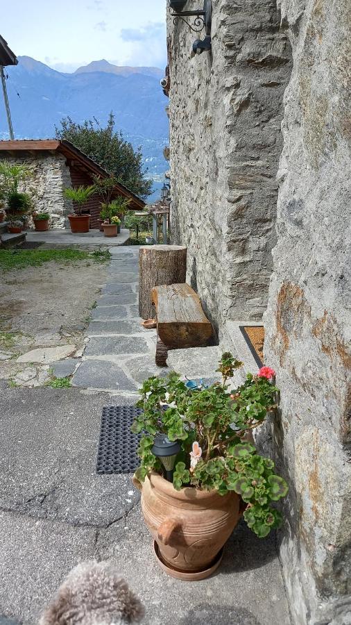 Casa Rustica Apartment Gambarogno Luaran gambar